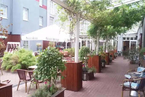Elbdampfer