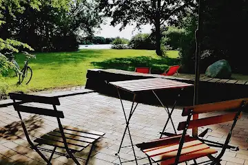 Robin am See