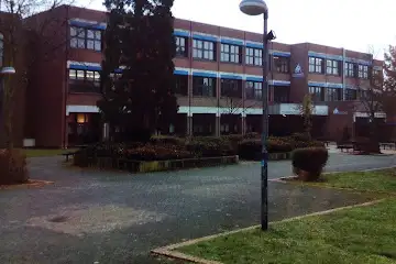 Cafeteria Sander